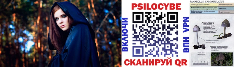 Галлюциногенные грибы GOLDEN TEACHER  купить наркоту  Бакал 